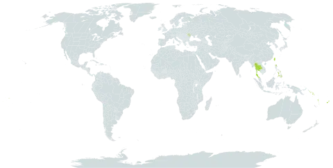 Aeridostachya world distribution map, present in Fiji, Moldova (Republic of), Philippines, Solomon Islands, Thailand, Taiwan, Province of China, Vanuatu, and Samoa