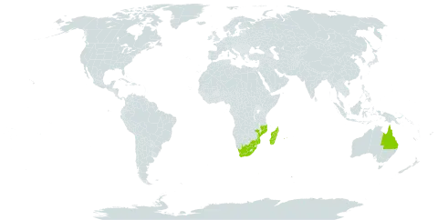 Aeschynomene brevifolia world distribution map, present in Australia, Comoros, Madagascar, Mozambique, Mauritius, Réunion, and South Africa