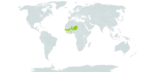 Aeschynomene tambacoundensis world distribution map, present in Ghana, Guinea-Bissau, Mali, Niger, Senegal, and Sierra Leone