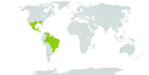 Aeschynomene viscidula world distribution map, present in Bonaire, Sint Eustatius and Saba, Belize, Brazil, Guatemala, Mexico, Nicaragua, El Salvador, United States of America, and Venezuela (Bolivarian Republic of)