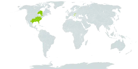 Aesculus pavia world distribution map, present in Canada, Croatia, Slovakia, and United States of America