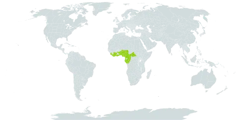 Afrolicania elaeosperma world distribution map, present in Benin, Central African Republic, Côte d'Ivoire, Cameroon, Congo, Gabon, Ghana, Equatorial Guinea, Liberia, Nigeria, Sierra Leone, and Togo