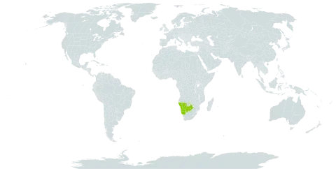 Afrosolen coeruleus world distribution map, present in Botswana and Namibia