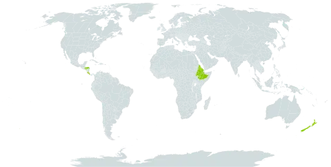 Agapanthus praecox subsp. orientalis world distribution map, present in Costa Rica, Eritrea, Ethiopia, Honduras, Norfolk Island, and New Zealand