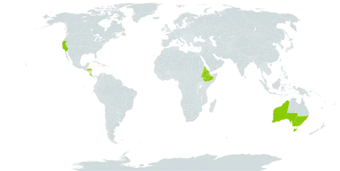 Agapanthus praecox world distribution map, present in Australia, Costa Rica, Eritrea, Ethiopia, Honduras, Norfolk Island, and United States of America