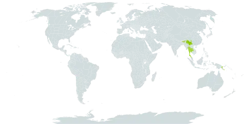 Agapetes lobbii world distribution map, present in China, India, Myanmar, Papua New Guinea, and Thailand