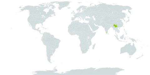 Agapetes pilifera world distribution map, present in China, India, and Myanmar