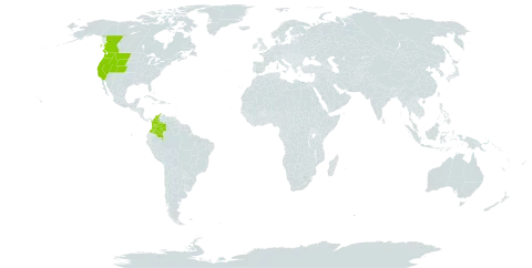 Agastache urticifolia world distribution map, present in Canada, Colombia, and United States of America