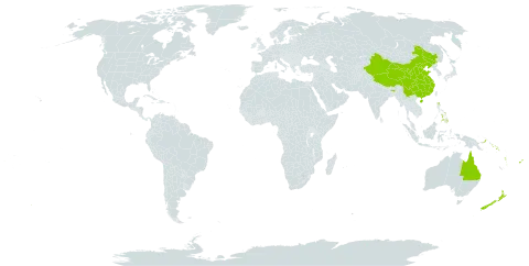 Agathis world distribution map, present in Australia, China, Fiji, India, New Zealand, Philippines, Papua New Guinea, Solomon Islands, and Vanuatu