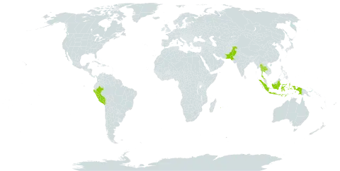 Agave vera-cruz world distribution map, present in Indonesia, Pakistan, Peru, Réunion, and Thailand