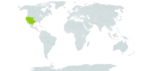 Ageratina herbacea world distribution map, present in Mexico and United States of America