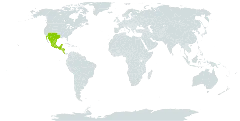 Ageratum corymbosum world distribution map, present in Belize, Costa Rica, Guatemala, Honduras, Mexico, Nicaragua, El Salvador, and United States of America