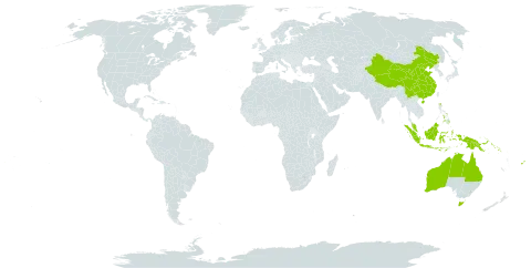 Aglaia world distribution map, present in Australia, China, Fiji, Indonesia, Malaysia, Philippines, Papua New Guinea, Solomon Islands, and United States of America