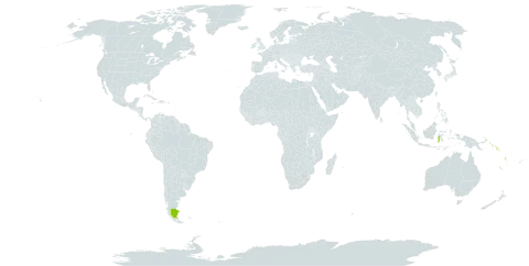 Aglaia samoensis world distribution map, present in Argentina, American Samoa, Fiji, Indonesia, Papua New Guinea, Solomon Islands, Vanuatu, Wallis and Futuna, and Samoa