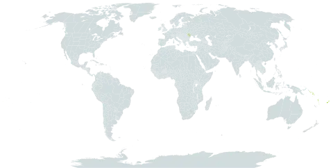 Aglossorrhyncha biflora world distribution map, present in Fiji, Moldova (Republic of), Solomon Islands, and Vanuatu