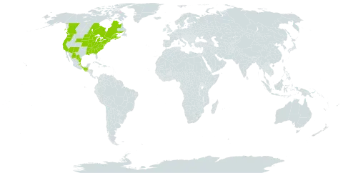 Agrimonia gryposepala world distribution map, present in Canada, Guatemala, Mexico, and United States of America