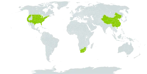 Agrimonia world distribution map, present in China, United States of America, and South Africa