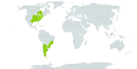 Agrimonia parviflora world distribution map, present in Argentina, Brazil, Canada, Dominican Republic, Haiti, and United States of America