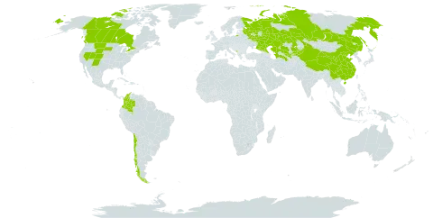 Agropyron fragile world distribution map, present in Canada, Chile, China, Colombia, Kazakhstan, Kyrgyzstan, Montenegro, Russian Federation, Turkmenistan, United States of America, and Uzbekistan