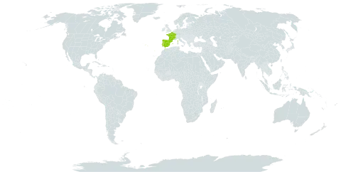 Agrostis hesperica world distribution map, present in Spain, France, and Portugal