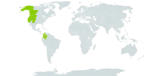 Agrostis humilis world distribution map, present in Canada, Colombia, and United States of America