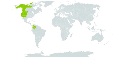 Agrostis idahoensis world distribution map, present in Canada, Colombia, and United States of America