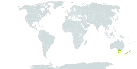 Agrostis muelleriana world distribution map, present in Australia and New Zealand