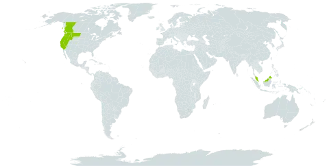 Agrostis pallens world distribution map, present in Canada, Malaysia, and United States of America