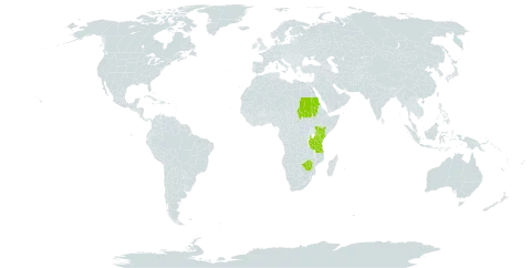 Agrostis producta world distribution map, present in Kenya, Sudan, Tanzania, United Republic of, Uganda, and Zimbabwe