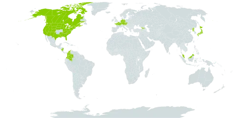 Agrostis scabra world distribution map, present in Åland Islands, Austria, Canada, Colombia, Czech Republic, Germany, Dominica, France, Micronesia (Federated States of), Georgia, Japan, Malaysia, Nicaragua, Korea (Democratic People's Republic of), and United States of America