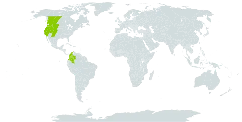 Agrostis variabilis world distribution map, present in Canada, Colombia, and United States of America