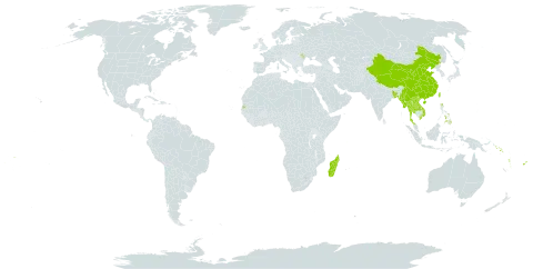 Agrostophyllum world distribution map, present in Andorra, Bangladesh, China, Fiji, Lao People's Democratic Republic, Moldova (Republic of), Madagascar, Myanmar, Nepal, Philippines, Solomon Islands, Seychelles, Thailand, Taiwan, Province of China, Viet Nam, Vanuatu, and Samoa