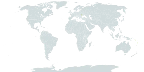 Agrostophyllum parviflorum world distribution map, present in Moldova (Republic of), Solomon Islands, and Vanuatu