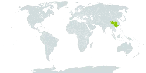 Ainsliaea ramosa world distribution map, present in China