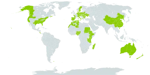 Aira caryophyllea world distribution map, present in Åland Islands, Albania, Australia, Austria, Bulgaria, Belarus, Canada, Switzerland, China, Costa Rica, Czech Republic, Germany, Denmark, Algeria, Spain, Ethiopia, Falkland Islands (Malvinas), France, Hungary, Ireland, Italy, Kenya, Morocco, Madagascar, Nigeria, Netherlands, New Zealand, Poland, Korea (Democratic People's Republic of), Portugal, Romania, Rwanda, Sudan, Sweden, Turks and Caicos Islands, Tunisia, Tanzania, United Republic of, Uganda, Ukraine, and United States of America