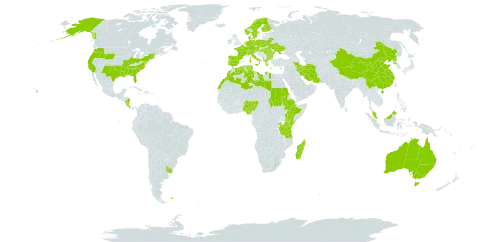 Aira world distribution map, present in Åland Islands, Albania, Australia, Austria, Bulgaria, Belarus, Switzerland, China, Costa Rica, Cyprus, Czech Republic, Germany, Denmark, Algeria, Spain, Ethiopia, Finland, Falkland Islands (Malvinas), France, Greece, Hungary, Ireland, Iran (Islamic Republic of), Italy, Kenya, Libya, Lesotho, Morocco, Madagascar, Mauritius, Malaysia, Norfolk Island, Nigeria, Nicaragua, Netherlands, Norway, Palau, Poland, Korea (Democratic People's Republic of), Portugal, Romania, Rwanda, Sudan, Sweden, Turks and Caicos Islands, Tunisia, Tanzania, United Republic of, Uganda, Ukraine, Uruguay, and United States of America