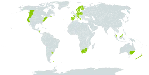 Aira praecox world distribution map, present in Australia, Canada, Switzerland, Czech Republic, Germany, Denmark, Spain, Finland, Falkland Islands (Malvinas), France, Ireland, Italy, Malaysia, Nicaragua, Netherlands, Norway, New Zealand, Poland, Portugal, Sweden, Turks and Caicos Islands, Uruguay, United States of America, and South Africa