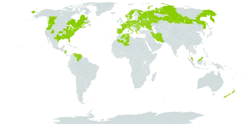 Ajuga reptans world distribution map, present in Åland Islands, Albania, Austria, Bulgaria, Belarus, Canada, Switzerland, Czech Republic, Germany, Denmark, Algeria, Spain, France, Micronesia (Federated States of), United Kingdom of Great Britain and Northern Ireland, Georgia, Greece, Hungary, Ireland, Iran (Islamic Republic of), Italy, Malaysia, Nicaragua, Netherlands, Norway, New Zealand, Poland, Portugal, Romania, Russian Federation, Sweden, Turks and Caicos Islands, Tunisia, Ukraine, United States of America, and Venezuela (Bolivarian Republic of)