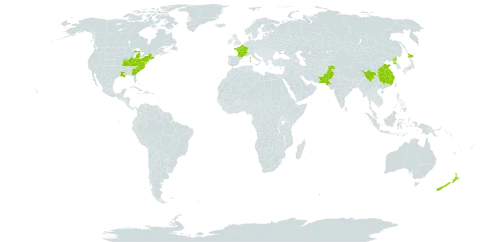 Akebia quinata world distribution map, present in China, France, Japan, New Zealand, Pakistan, Korea (Democratic People's Republic of), and United States of America