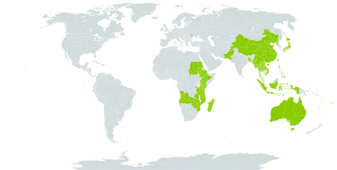 Alangium world distribution map, present in Angola, Andorra, Australia, Burkina Faso, Bangladesh, China, Comoros, Cabo Verde, Ethiopia, Fiji, Indonesia, Japan, Kenya, Lao People's Democratic Republic, Moldova (Republic of), Madagascar, Myanmar, Mozambique, Nepal, Pakistan, Philippines, Korea (Democratic People's Republic of), Rwanda, Sudan, Solomon Islands, Thailand, Taiwan, Province of China, Tanzania, United Republic of, Uganda, Viet Nam, Vanuatu, Zambia, and Zimbabwe