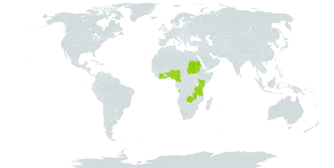 Albizia coriaria world distribution map, present in Angola, Benin, Côte d'Ivoire, Cameroon, Ghana, Kenya, Nigeria, Sudan, Togo, Tanzania, United Republic of, Uganda, and Zambia