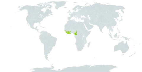 Albizia dinklagei world distribution map, present in Côte d'Ivoire, Cameroon, Ghana, Guinea, Guinea-Bissau, Liberia, and Sierra Leone