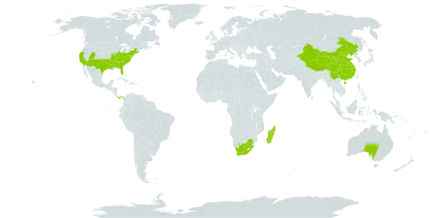 Albizia world distribution map, present in Australia, China, Hong Kong, Madagascar, Panama, United States of America, and South Africa