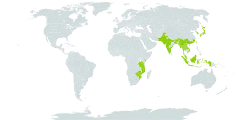 Albizia odoratissima world distribution map, present in Bangladesh, Bhutan, China, Indonesia, India, Japan, Kenya, Korea (Republic of), Lao People's Democratic Republic, Sri Lanka, Myanmar, Mozambique, Mauritius, Malawi, Malaysia, Nepal, Pakistan, Thailand, Taiwan, Province of China, Tanzania, United Republic of, Viet Nam, and Zimbabwe