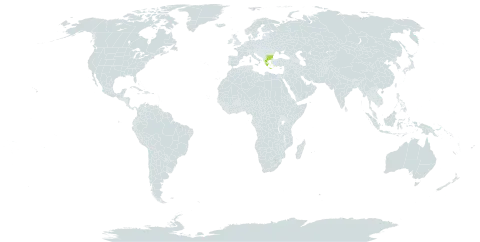 Alchemilla bulgarica world distribution map, present in Bulgaria, Greece, North Macedonia, and Serbia