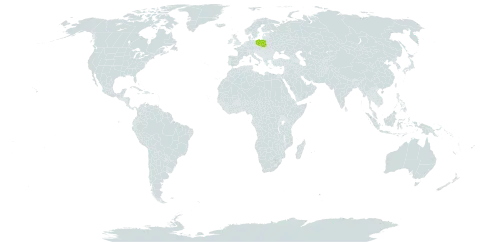 Alchemilla eugenii world distribution map, present in Poland and Slovakia