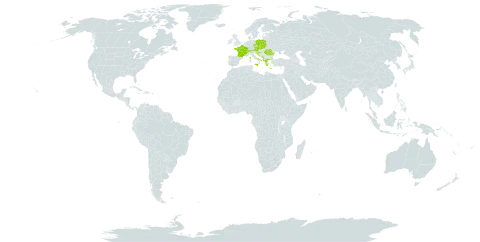 Alchemilla flabellata world distribution map, present in Albania, Andorra, Austria, Bosnia and Herzegovina, Switzerland, Czech Republic, Germany, France, Greece, Croatia, Italy, North Macedonia, Montenegro, Poland, Romania, Serbia, Slovakia, and Slovenia