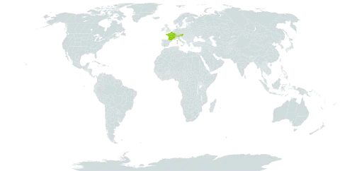 Alchemilla longana world distribution map, present in Austria, Switzerland, France, and Italy