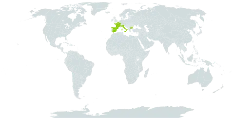 Alchemilla lunaria world distribution map, present in Andorra, Bulgaria, Switzerland, Spain, France, and Italy