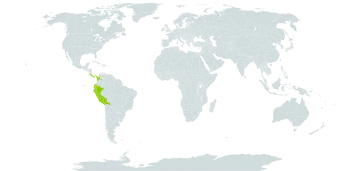 Alchemilla mandoniana world distribution map, present in Bolivia (Plurinational State of), Colombia, Costa Rica, Ecuador, Panama, Peru, and Venezuela (Bolivarian Republic of)